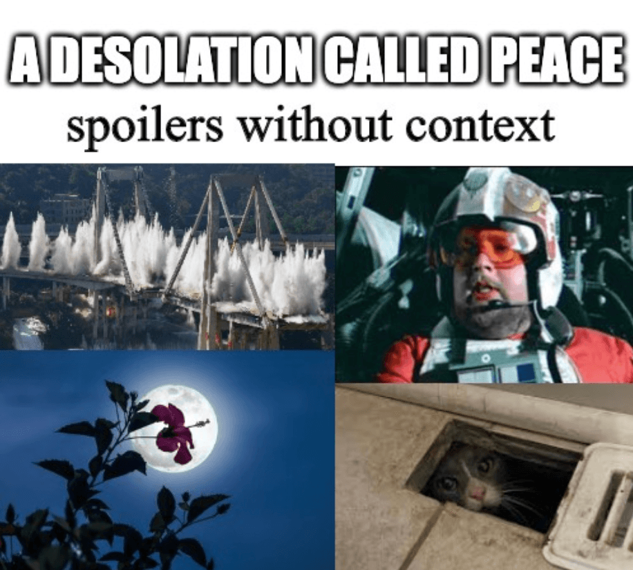 No context spoilers for the book "A Desolation Called Peace"