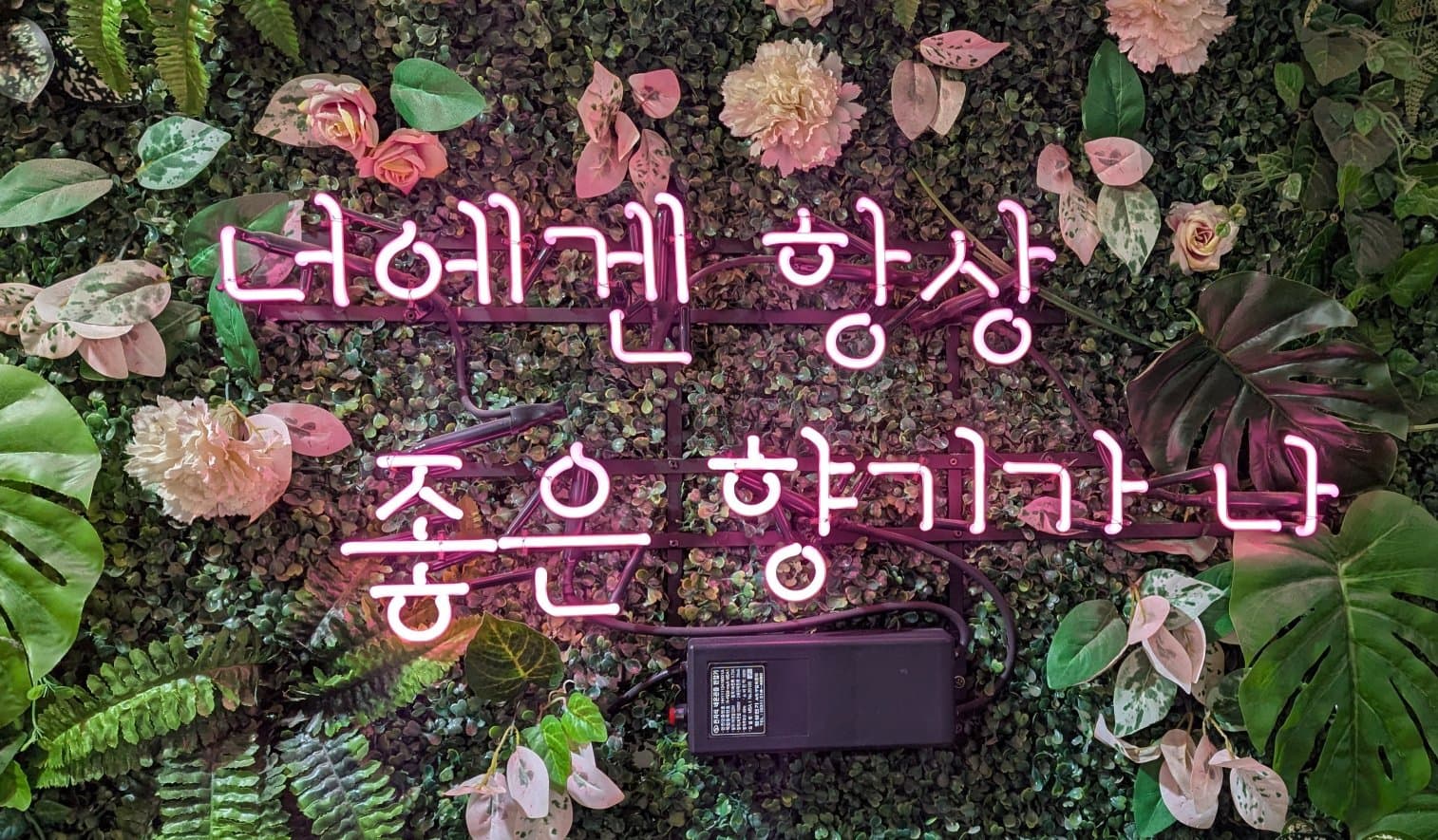 A third quick photo of a some Hangul script with cool typography.