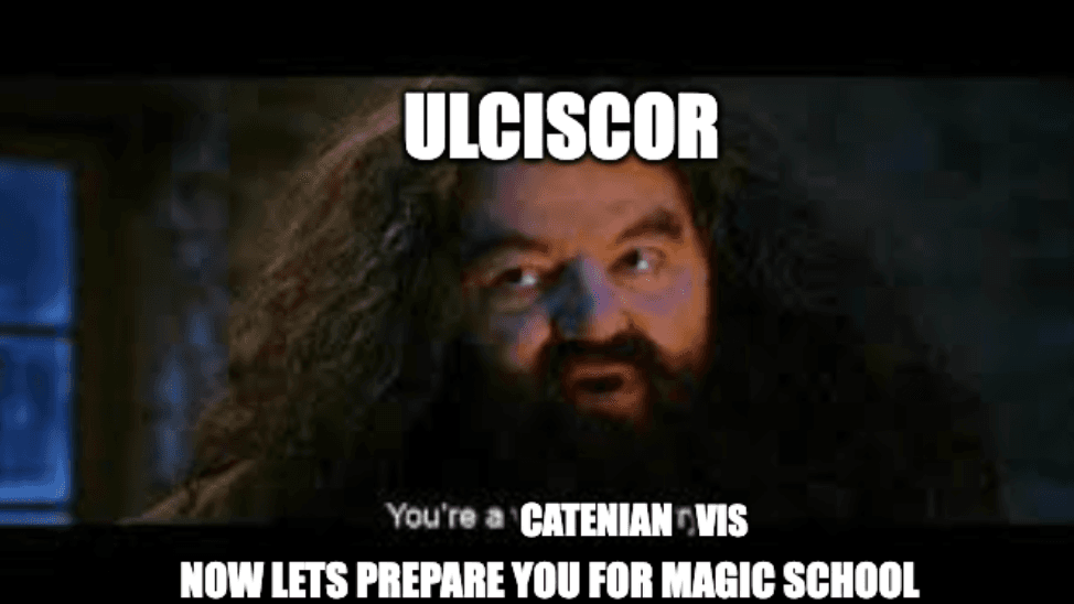 Hagrid saying: "You're a Wizard Harry" but Hagrid is labelled Ulciscor and he's saying "You're a Catenian Vis".