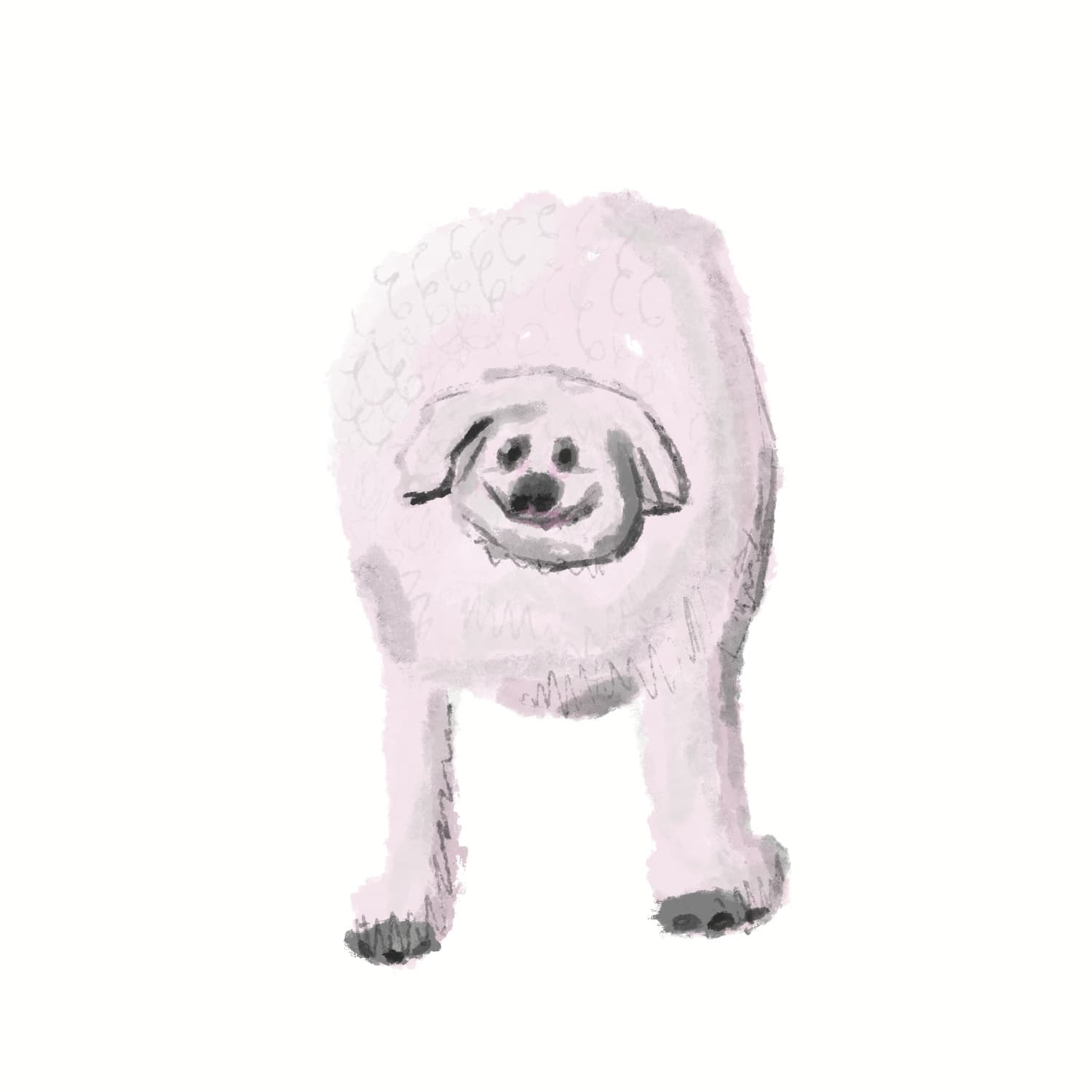 116