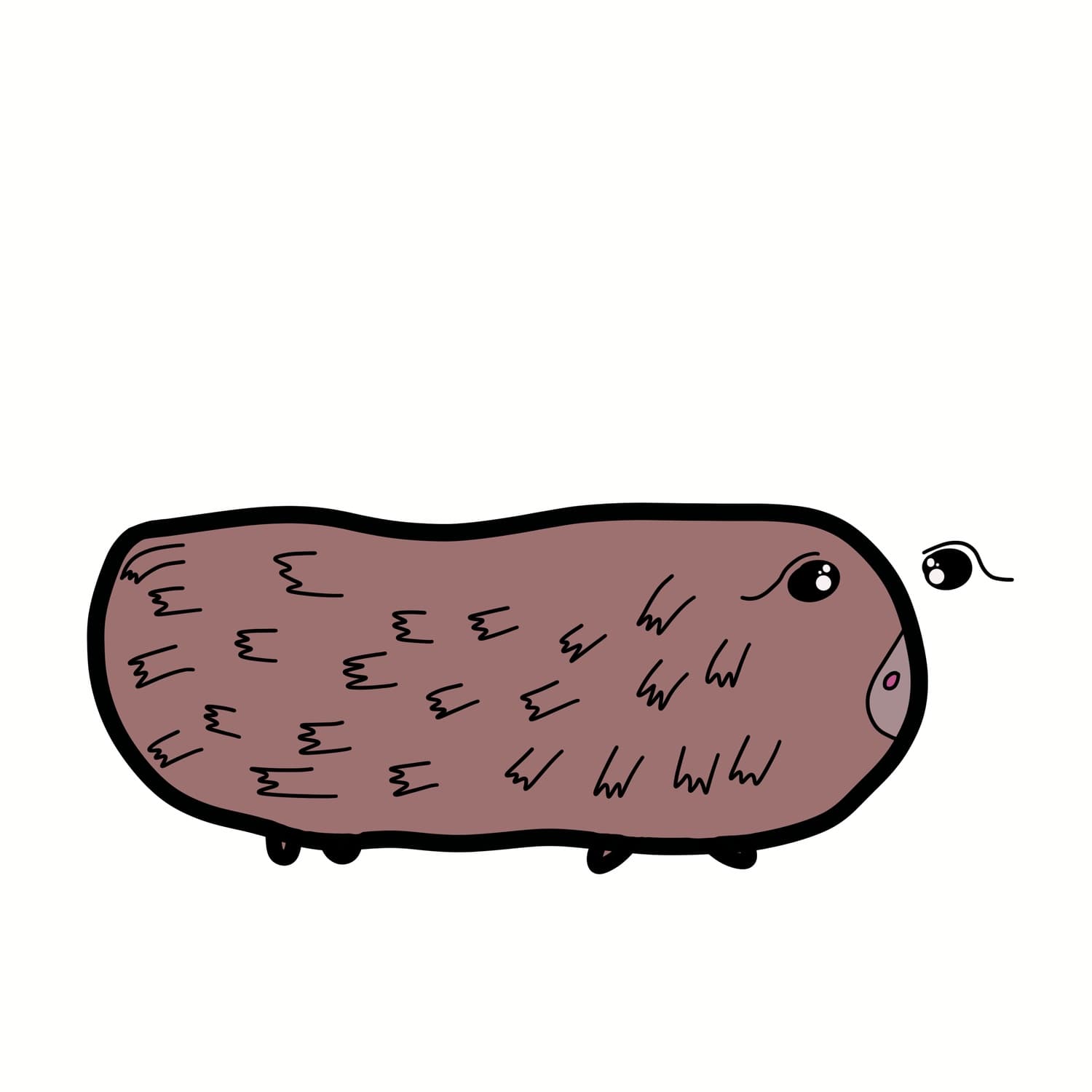 41